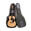 Bags for Acoustic Guitar