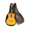 Bags for Classical Guitar