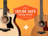 Taylor PS14ce Blackwood – Sinker Redwood