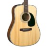 Blueridge BR-70A Acoustic Guitar