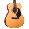 Bristol BM-16 Acoustic Guitar