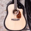 Larrivée DV-40RE Rosewood with Stage Pro Element
