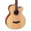 Takamine GB30CE Natural Acoustic Bass