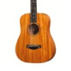 Taylor Baby BT2 Acoustic Guitar