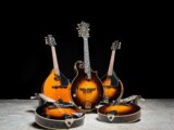Mandolinas Kentucky: Calidad de luthier
