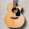 Blueridge BR-45CE Guitarra Electroacústica #20081880